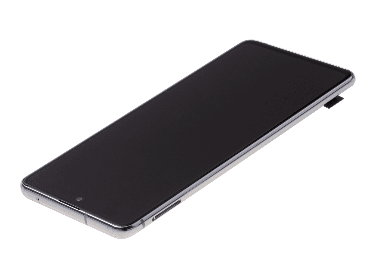 Oryginalny Wyświetlacz LCD + Ekran dotykowy Samsung SM-N770 Galaxy Note 10 Lite - srebrny
