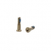 Bottom screw for iPhone 7/7 Plus 1 piece gold